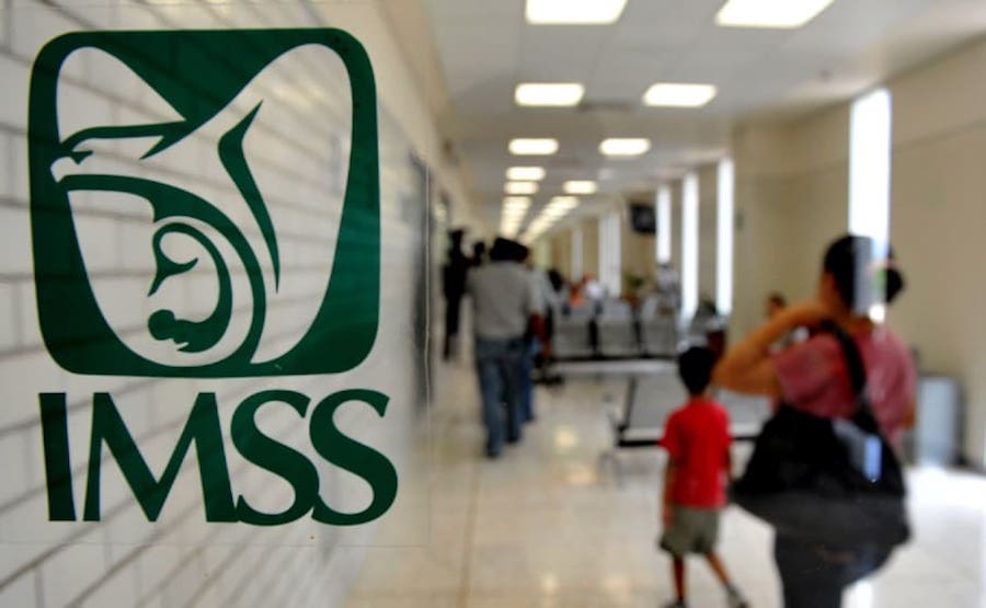 Tiene El IMSS Tamaulipas elefantes Blancos Zoé R El Diario MX