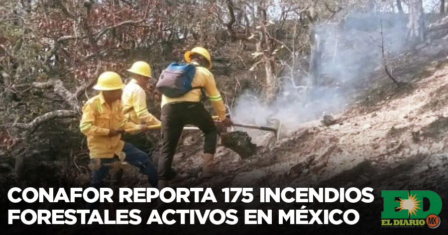 Conafor Reporta Incendios Forestales Activos En M Xico