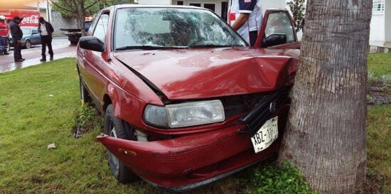 ‘Ensarta’ auto contra palmera