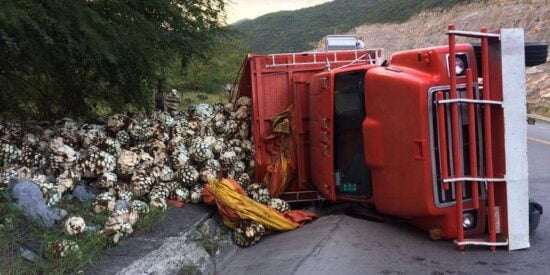 Vuelca Torton cargado con ‘piñas’ de agave