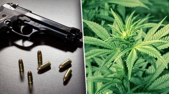 Aprueban medidas sobre marihuana, armas en estados de EU