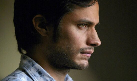 Construyan su pinche pared: Gael García