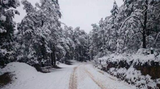 En emergencia 16 municipios de Chihuahua por nevada