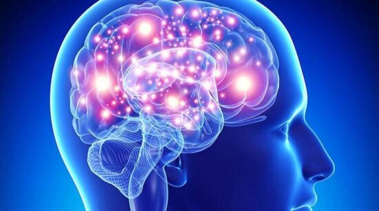 ¿Sabes qué es la neuroplasticidad?