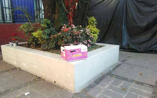 Abandonan a bebé en caja