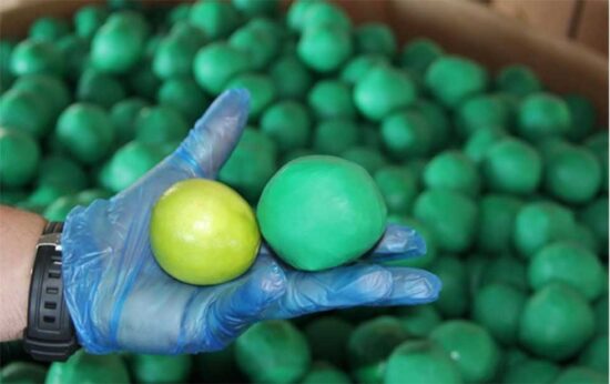 Decomisan limones falsos con mariguana