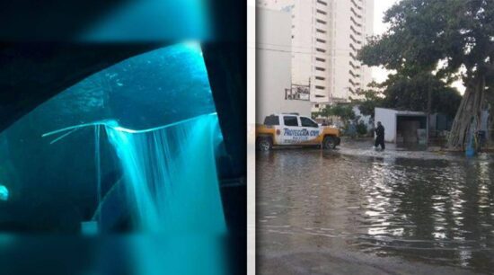Colapsa Tiburonario de Mazatlán