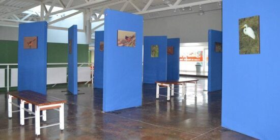 Visita expo fotográfica