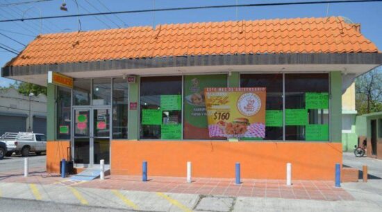 El más exquisito pollo frito