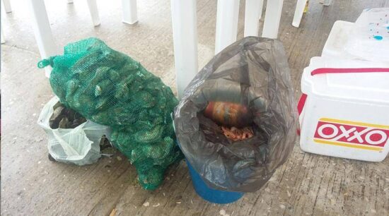 Decomisa Coepris mariscos en Playa Miramar