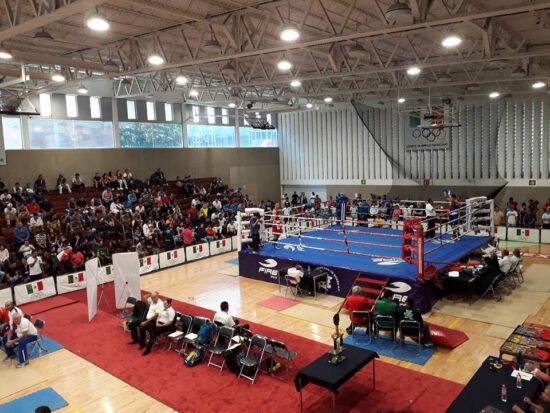 Destacan pugilistas en festival de box