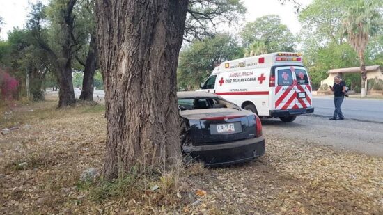Maestra estrella coche con árbol