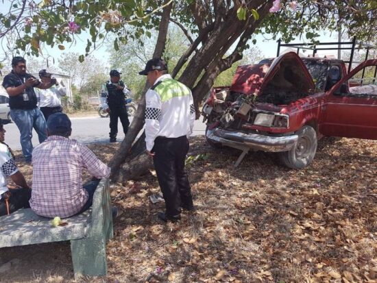 Se trepa a camellón y choca contra árbol