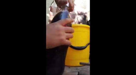 Hallan rata en una Coca-Cola de Argentina