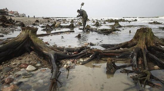Emerge bosque de un mar en Rusia