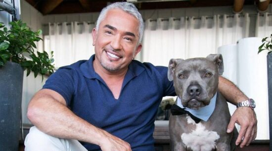Perros de César Millán evitan robo de casa