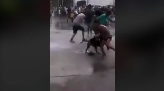 Pitbull ataca a niña en Iztacalco