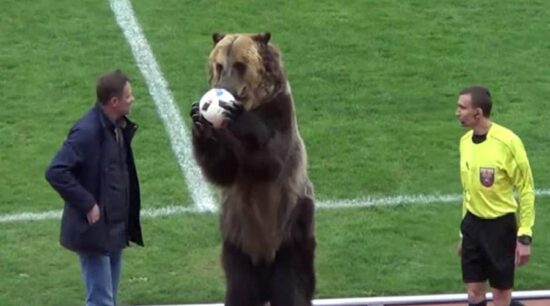 ¡Solo en Rusia!, oso realiza el saque de honor