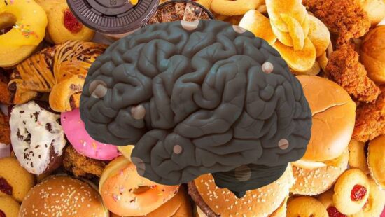 Estos alimentos dañan tu cerebro