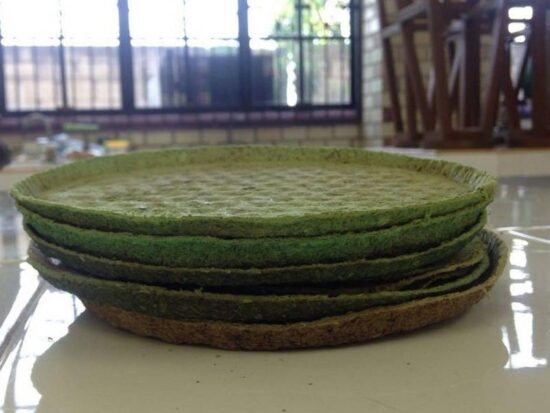 Desarrollan plato ecológico a base de nopal