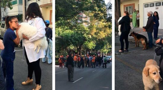Sismo de 5.3 activa alerta en la CDMX