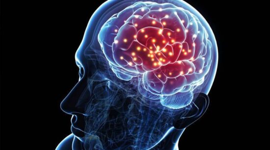 El cerebro, el microprocesador de los humanos