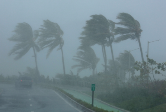 Tormenta tropical Carlotta desata vientos y lluvias