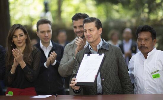 Van por Desarrollo Forestal Sustentable