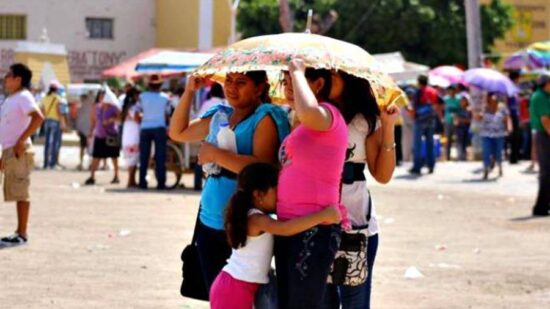 Comienza la canícula