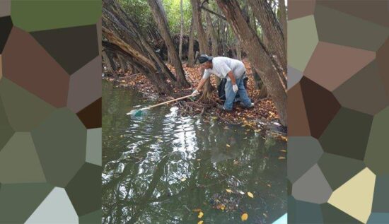 Buscan evitar inundaciones