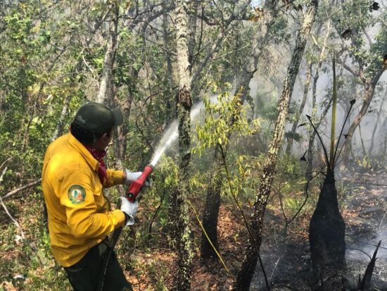 Siguen las labores para sofocar incendio de Alta Cumbre