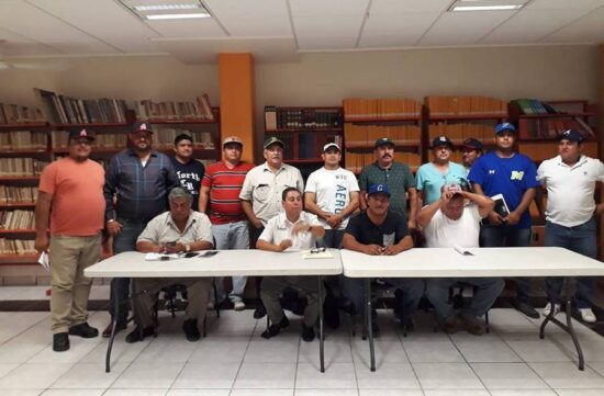 Suspenden estatal de beisbol