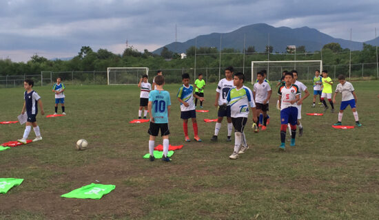Cumplen Gallos con visorías