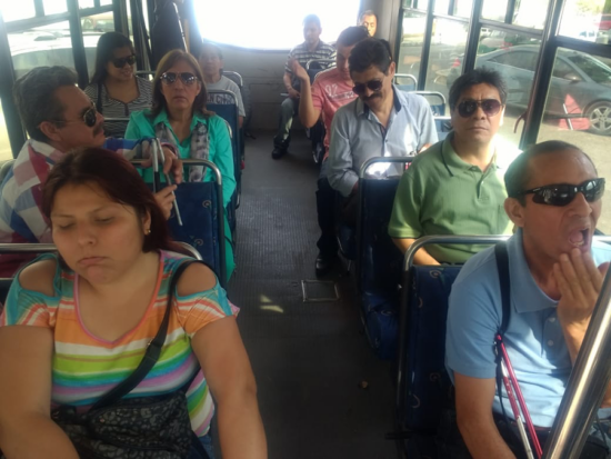 Un camino de luz