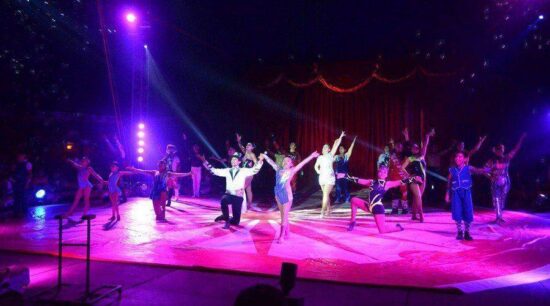 ¿Cómo es vivir en un circo?