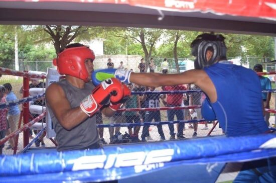 Regresa el Circuito de Box