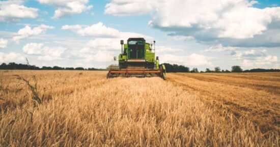 Inseguridad y clima, problemas del campo
