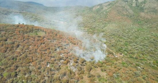 Amenazan hoy los incendios forestales