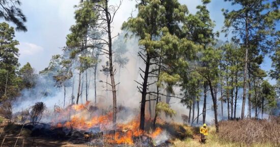 Se adelanta temporada de incendios forestales; ya van dos
