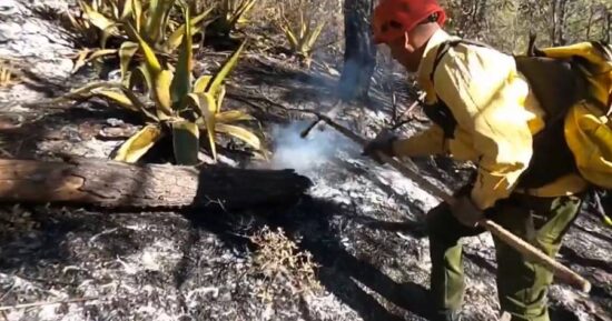 PC da por sofocado incendio forestal en Miquihuana