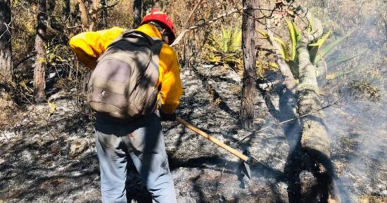 En alerta Tamaulipas por riesgo de más incendios