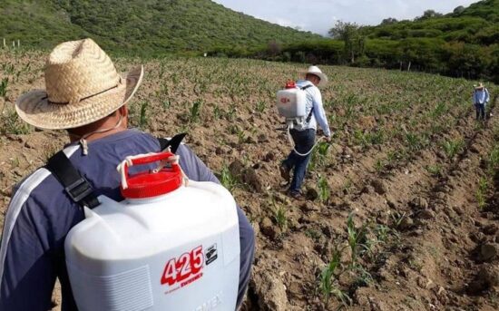 Molesta a campesinos los apoyos de la Sader