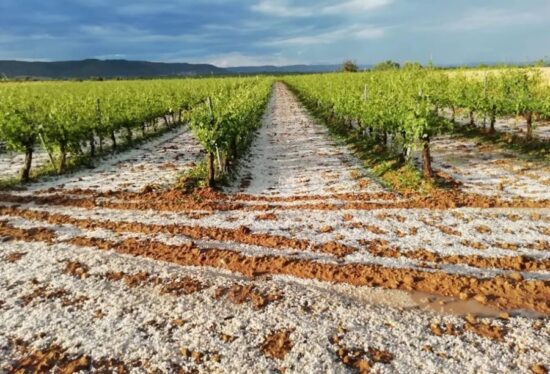 Aumentan las pérdidas por el granizo y lluvias