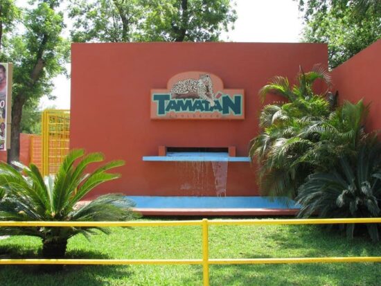 Monitorea Fundación a leones de Tamatán