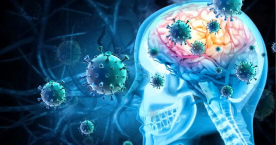 Bajo vigilancia 4 casos locales de meningitis