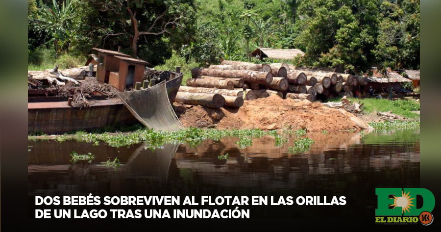 Dos Bebés Sobreviven Al Flotar En Las Orillas De Un Lago Tras Una ...