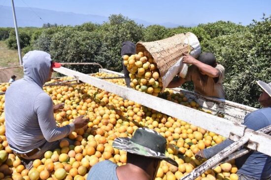 Creció ‘tantito’ la economía estatal