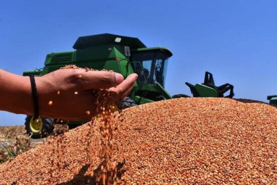 Fortalece Tamaulipas vocación agropecuaria