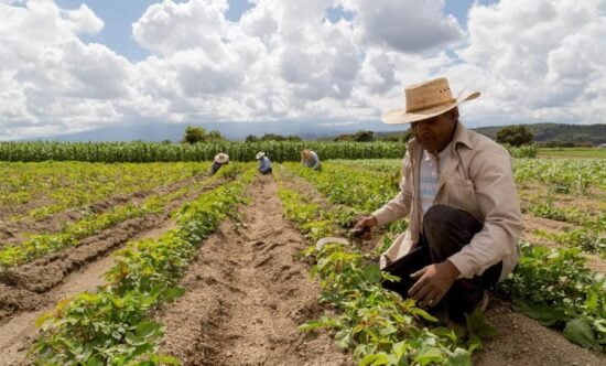 Desamparados los productores agropecuarios