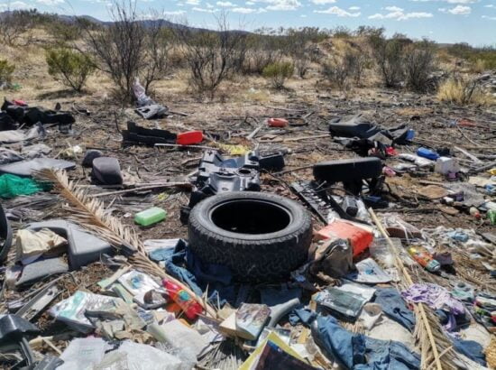 Detectan más de mil basureros clandestinos